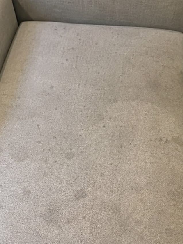 Assise de canapé en tissu beige couverte d'auréoles et de taches grises avant nettoyage